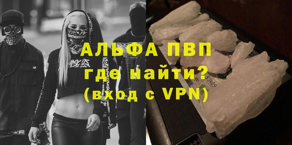 гидра Бронницы