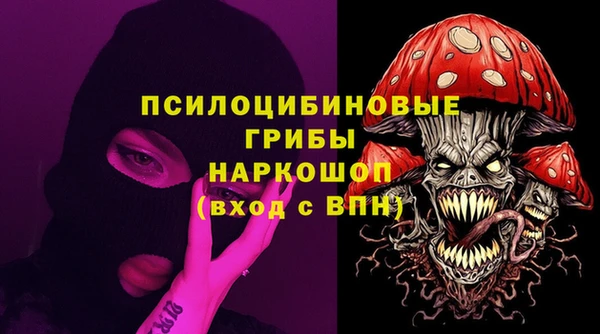 гидра Бронницы