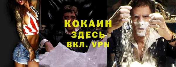 альфа пвп Бородино