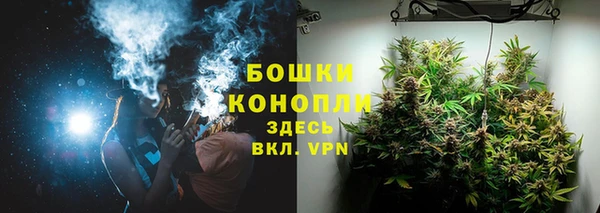 гидра Бронницы