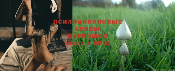 шишки Верея